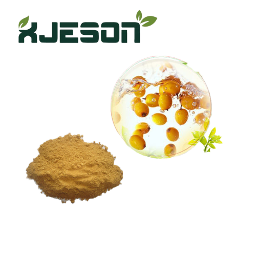 Organic Beverage Ingredient sea buckthorn powder